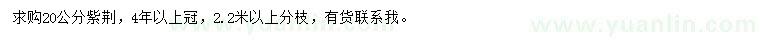 求購20公分紫荊