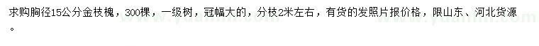 求購胸徑15公分金枝槐