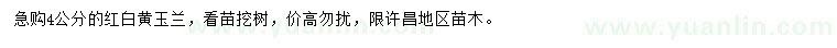 求購(gòu)4公分紅白黃玉蘭