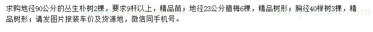 求購(gòu)樸樹(shù)、臘梅、櫸樹(shù)
