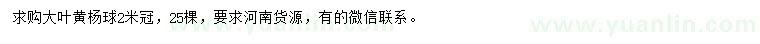 求購冠2米大葉黃楊球