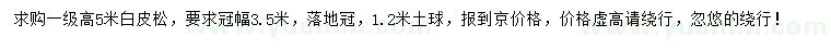 求購高5米白皮松