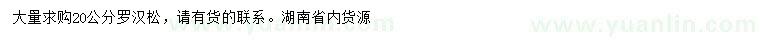 求購(gòu)20公分羅漢松