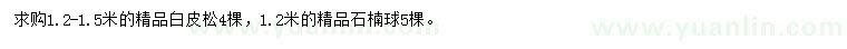 求購1.2-1.5米白皮松、1.2米石楠球