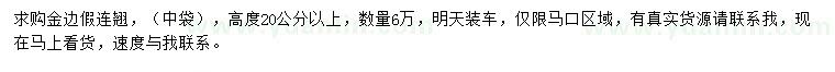 求購高度20公分以上金邊假連翹