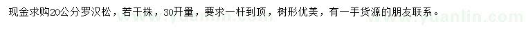 求購(gòu)30量20公分羅漢松