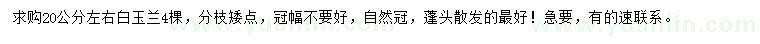 求購(gòu)20公分左右白玉蘭