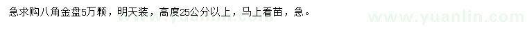 求購高度25公分以上八角金盤