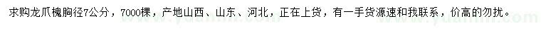 求購胸徑7公分龍爪槐