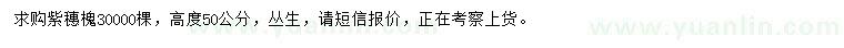 求購高度50公分紫穗槐