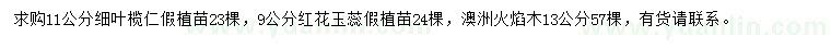 求購細葉欖仁、紅花玉蕊、澳洲火焰木