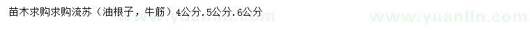 求購(gòu)4、5、6公分流蘇