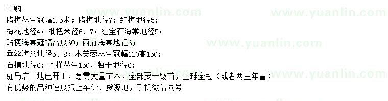 求購(gòu)臘梅、紅梅、枇杷等