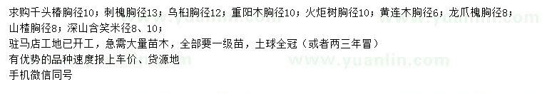 求購千頭椿、刺槐、烏桕等
