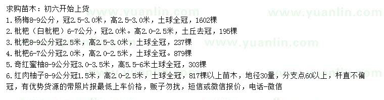 求購楊梅、枇杷、奇紅蜜柚等