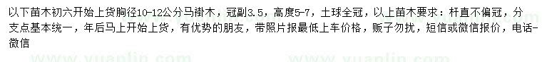 求購10-12公分馬褂木
