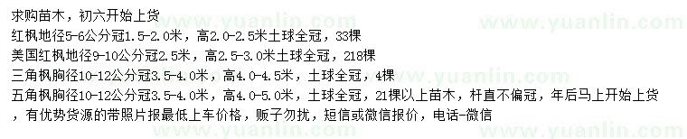 求購(gòu)紅楓、美國(guó)紅楓、三角楓等