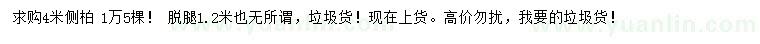 求購4米側(cè)柏
