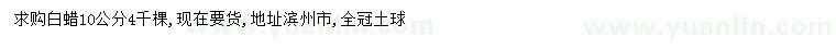 求購10公分白蠟
