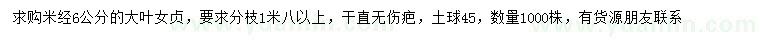 求購米徑6公分大葉女貞