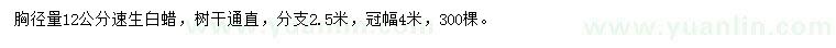 求購胸徑量12公分速生白蠟