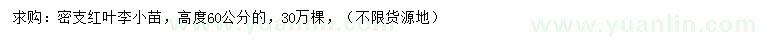 求購(gòu)高60公分紅葉李小苗