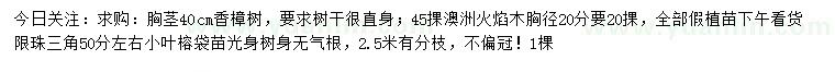 求購香樟樹、澳洲火焰木、小葉榕