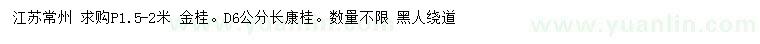 求購(gòu)冠幅1.5-2米金桂、地徑6公分長(zhǎng)康桂