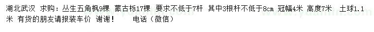 求購(gòu)叢生五角楓、蒙古櫟