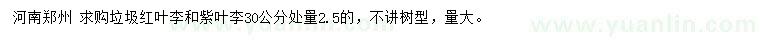 求購30公分處量2.5公分垃圾紅葉李、紫葉李