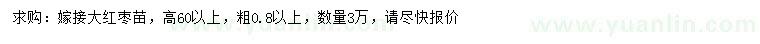 求購(gòu)高60公分以上嫁接大紅棗苗