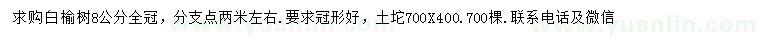 求購8公分白榆