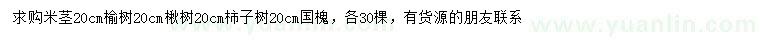 求購榆樹、楸樹、柿子樹等