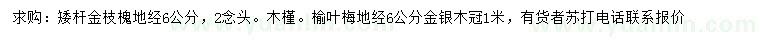 求購金枝槐、木槿、榆葉梅
