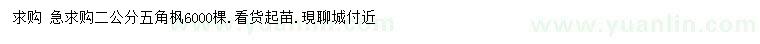 求購(gòu)2公分五角楓