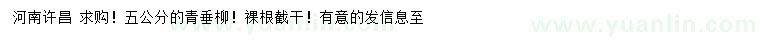 求購5公分青垂柳