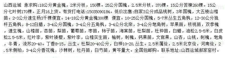求購黃金槐、國槐、苦楝等