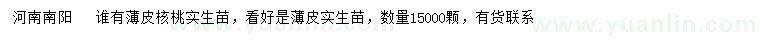 求購薄皮核桃實(shí)生苗