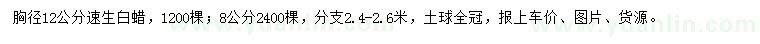 求購胸徑8、12公分速生白蠟