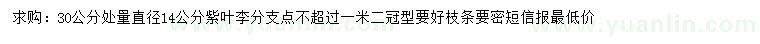 求購(gòu)30公分處量14公分紫葉李