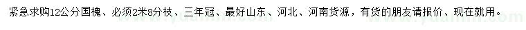 求購12公分國槐
