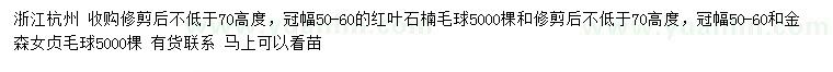 求購冠幅50-60公分紅葉石楠毛球、金森女貞毛球