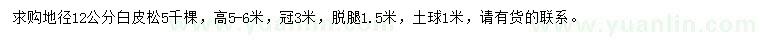 求購地徑12公分白皮松
