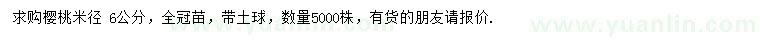 求購米徑6公分櫻桃
