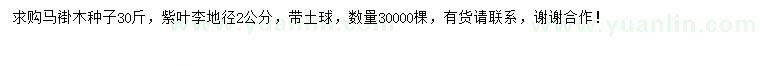求購馬褂木種子、地徑2公分紫葉李