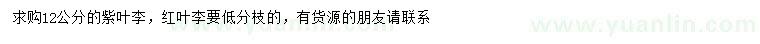 求購12公分紫葉李、紅葉李要