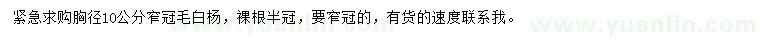 求購胸徑10公分窄冠毛白楊