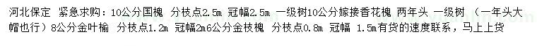 求購國槐、香花槐、金葉榆等
