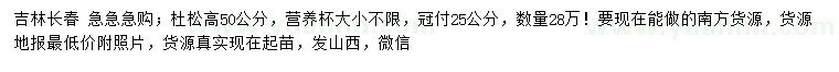 求購(gòu)高50公分杜松苗
