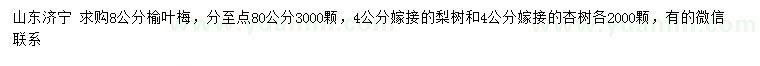 求購榆葉梅、梨樹、杏樹